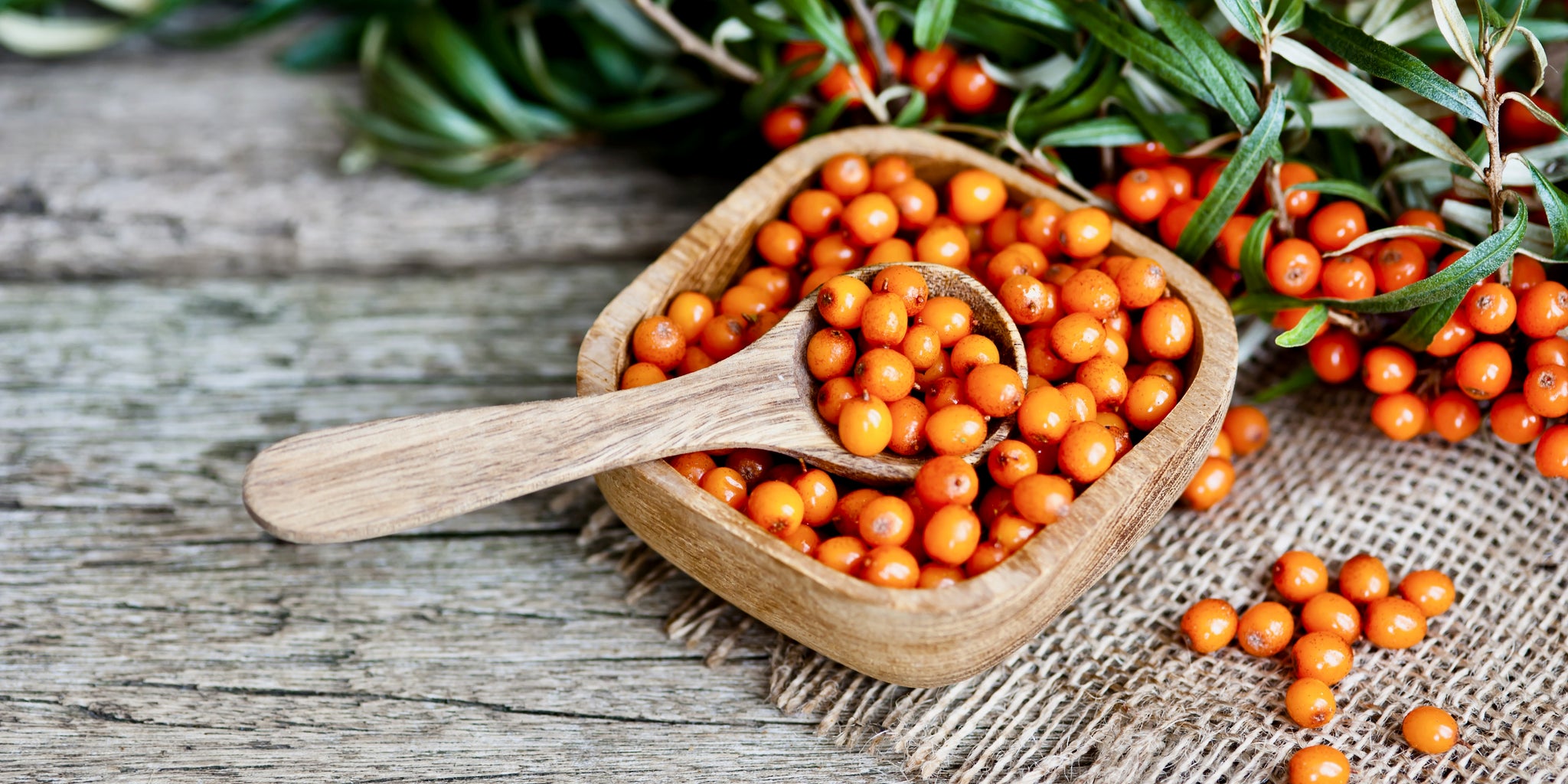 image of sea buckthorn