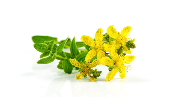 st. johns wort